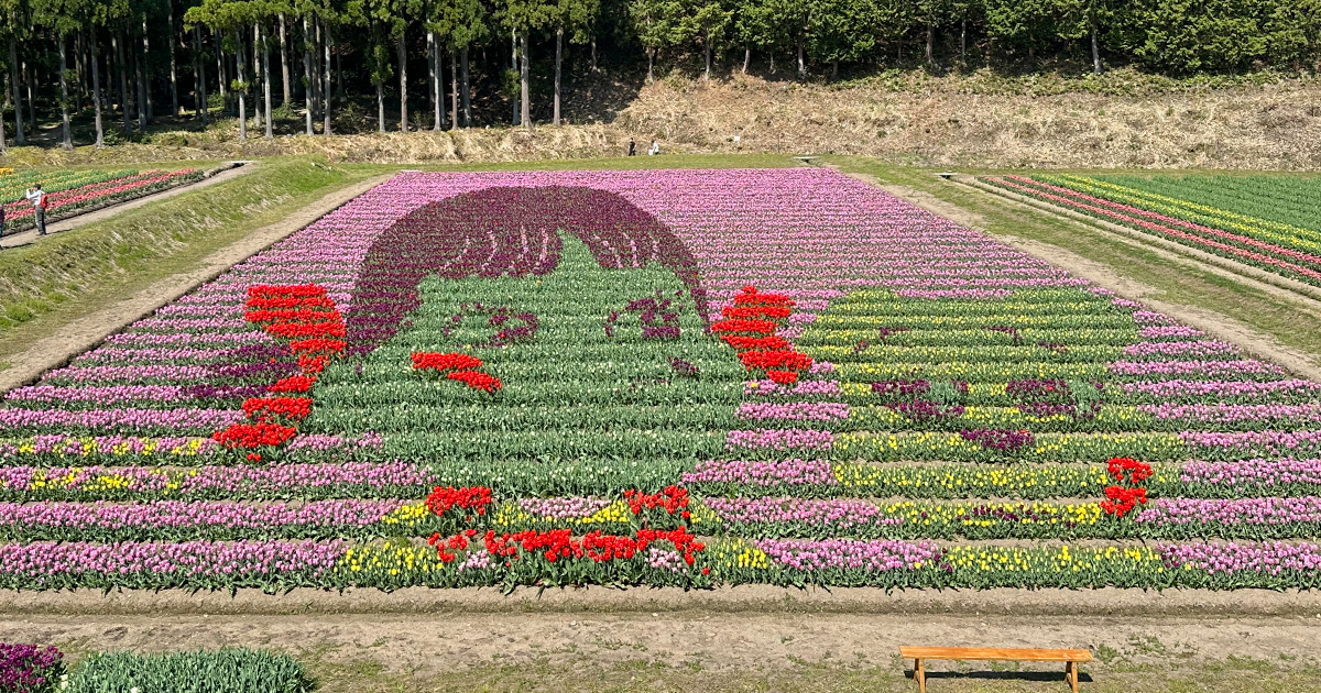 たんとうチューリップまつりの見どころは「フラワーアート」