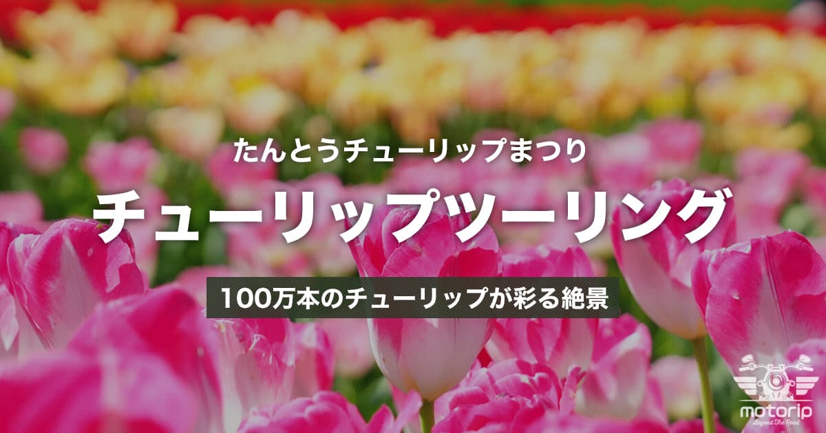 たんとうチューリップまつりツーリング｜100万本のチューリップが彩る春の絶景【兵庫県豊岡市】