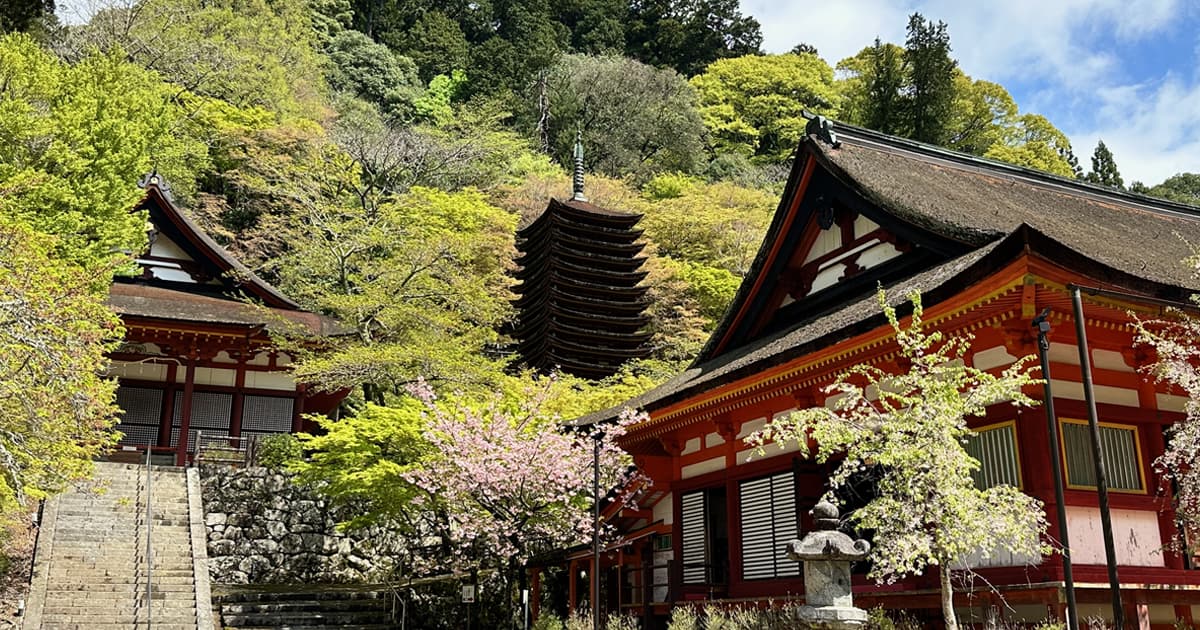 春の青もみじも美しい談山神社