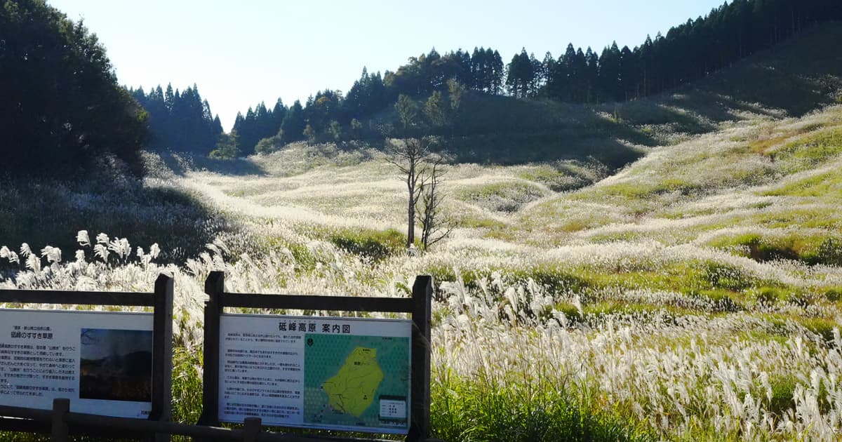 砥峰高原の特色は、ススキ野原と開放感あふれる景色