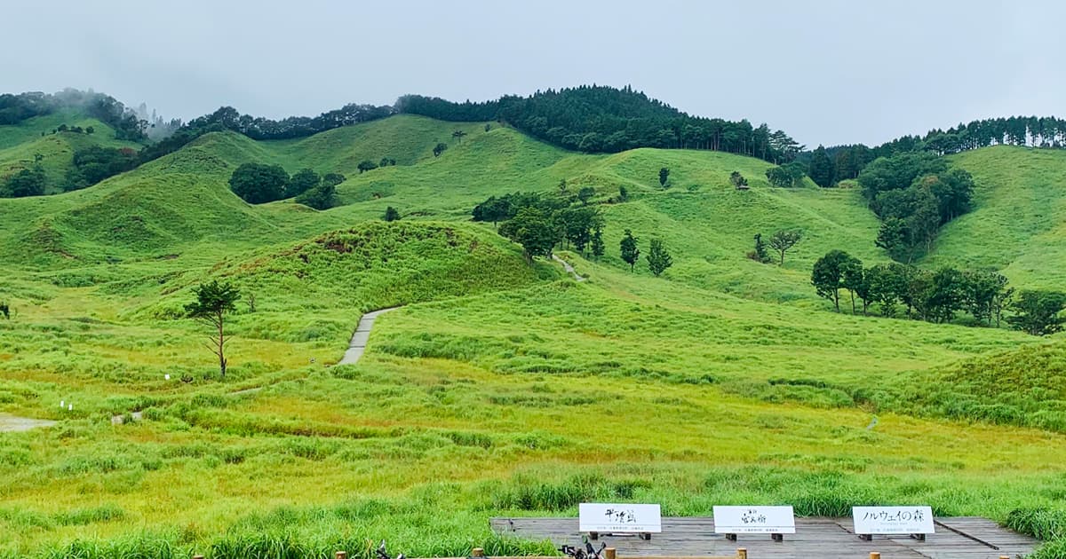 砥峰高原の新緑の季節は、秋とは違ってまた美しい