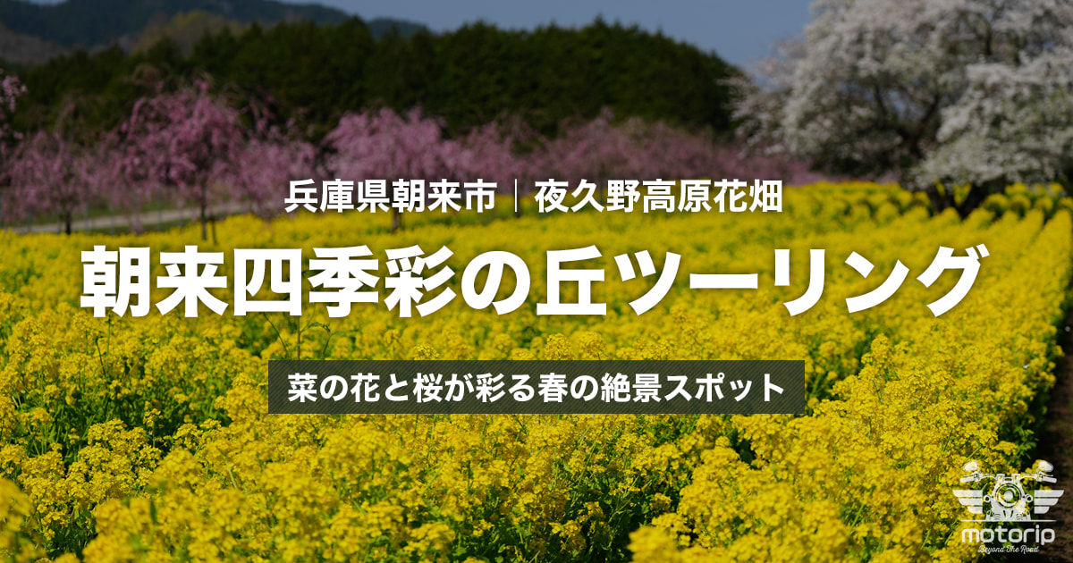 朝来四季彩の丘ツーリング｜60万本の菜の花と桜が彩る春の絶景スポット【兵庫県朝来市】