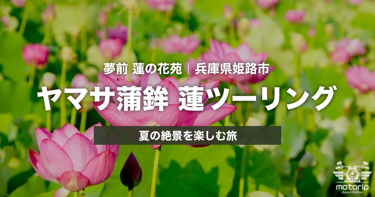 ヤマサ蒲鉾 蓮ツーリング｜夢前 蓮の花苑で楽しむ夏の絶景【兵庫県姫路市】