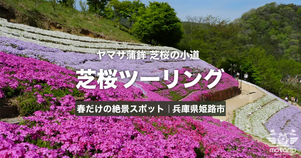 ヤマサ蒲鉾 芝桜の小道ツーリング｜春だけの絶景スポットへ【兵庫県姫路市】