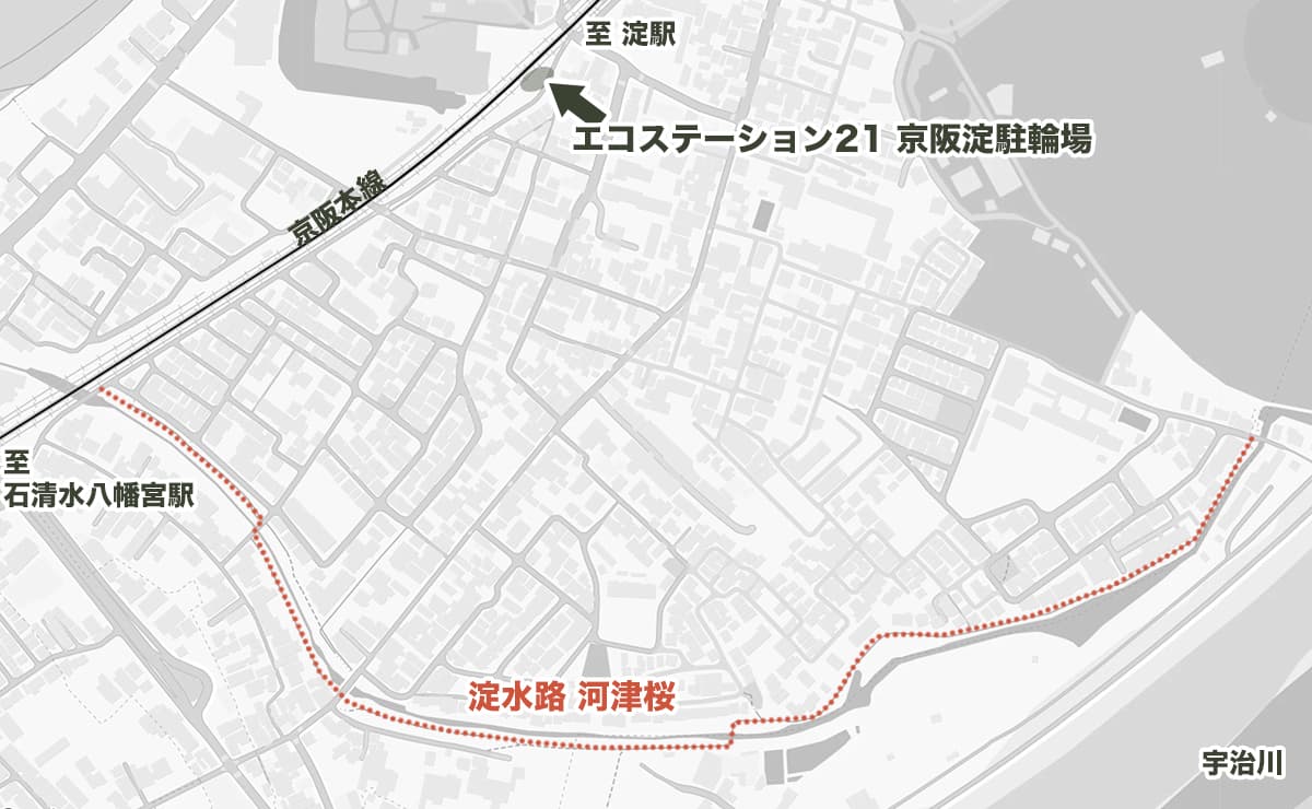 淀水路の河津桜 散策ルート